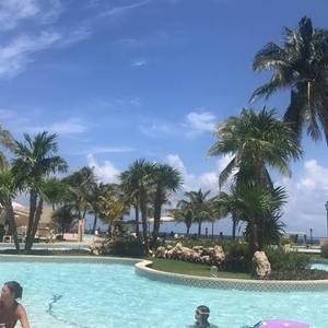 Meet your Posher, Tammy